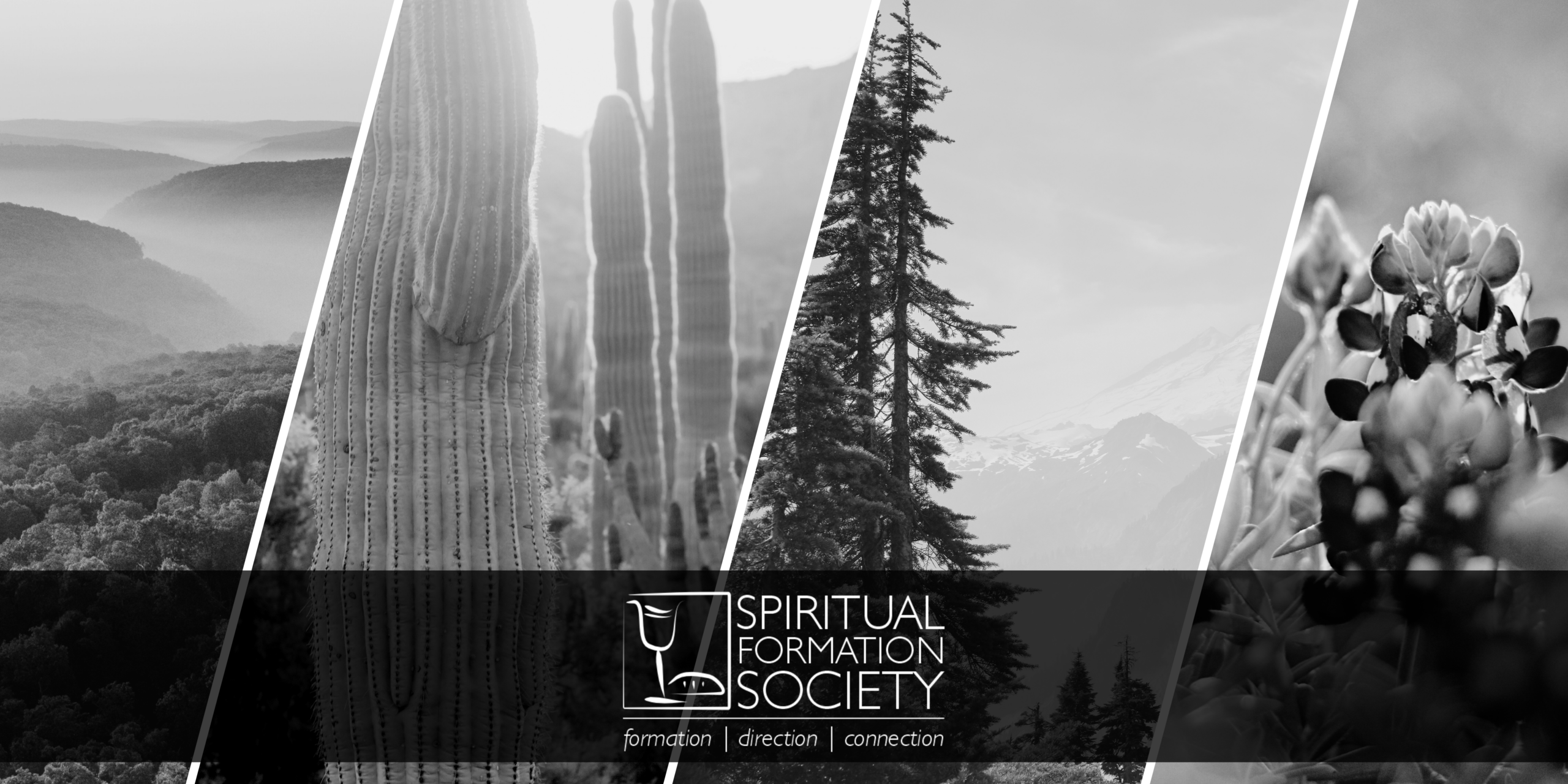 SFS Web Header (5)